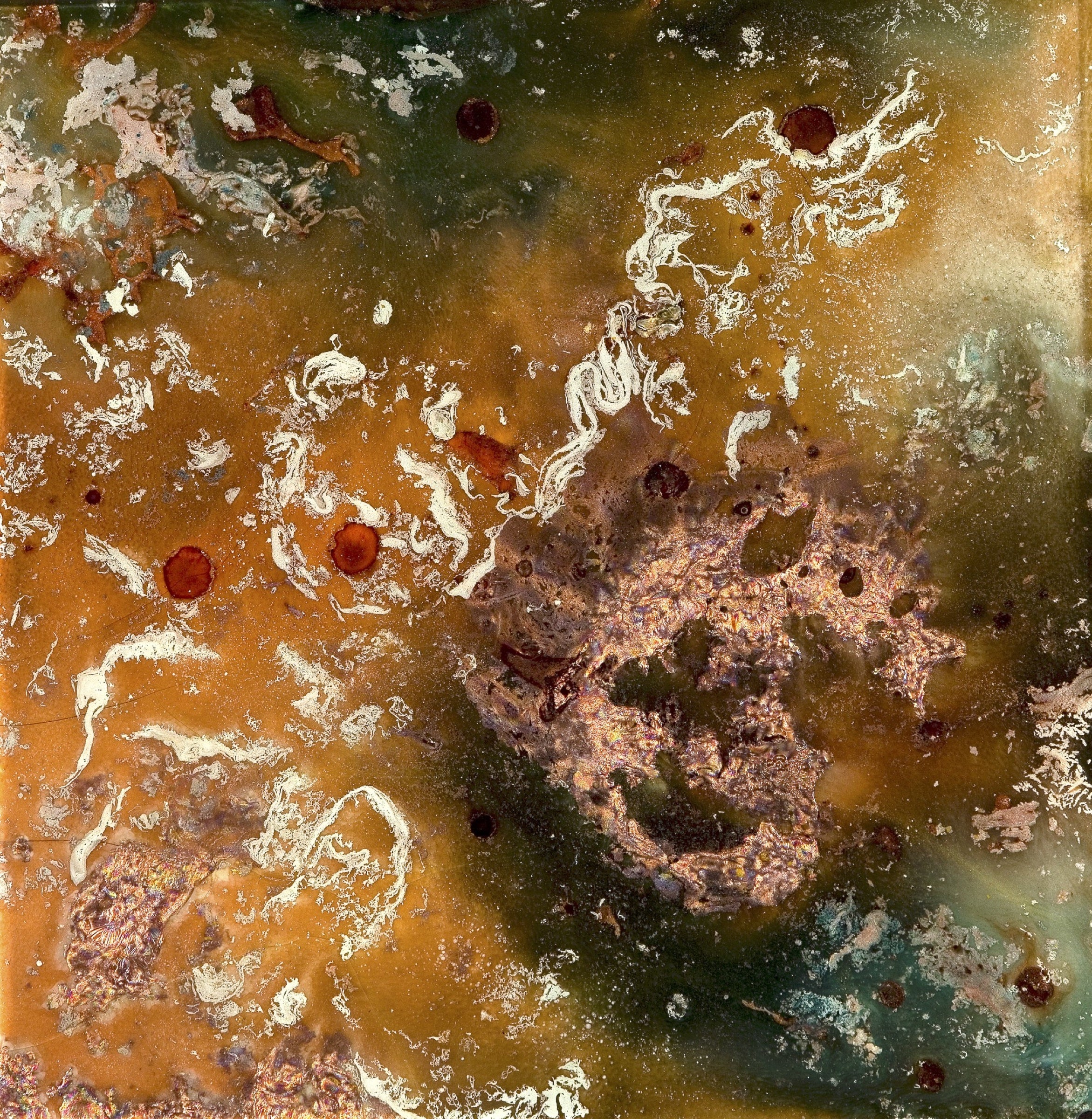 Cosmos - Print, unframed#Frame_Unframed